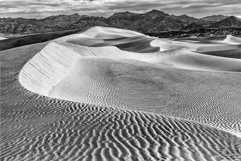 Mesquite Dunes-Death Valley National Park-California Black Ornate Wood Framed Art Print with Double Matting by Ford, John