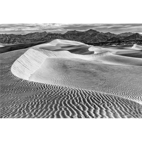 Mesquite Dunes-Death Valley National Park-California Black Modern Wood Framed Art Print with Double Matting by Ford, John