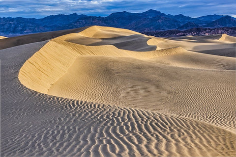 Mesquite Dunes-Death Valley National Park-California White Modern Wood Framed Art Print with Double Matting by Ford, John
