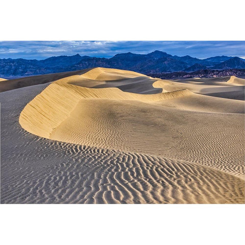 Mesquite Dunes-Death Valley National Park-California Black Modern Wood Framed Art Print by Ford, John