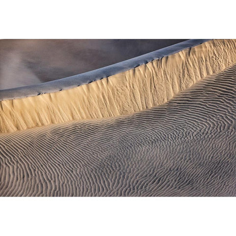 Mesquite Dunes-Death Valley National Park-California Gold Ornate Wood Framed Art Print with Double Matting by Ford, John