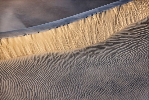 Mesquite Dunes-Death Valley National Park-California Black Ornate Wood Framed Art Print with Double Matting by Ford, John