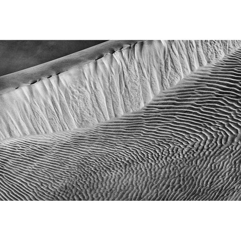 Mesquite Dunes-Death Valley National Park-California Black Modern Wood Framed Art Print with Double Matting by Ford, John