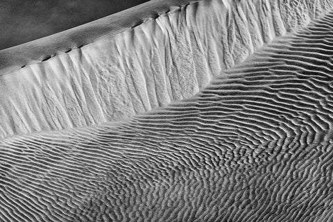 Mesquite Dunes-Death Valley National Park-California White Modern Wood Framed Art Print with Double Matting by Ford, John