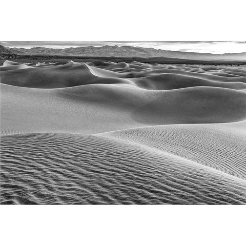 Mesquite Dunes-Death Valley National Park-California White Modern Wood Framed Art Print by Ford, John