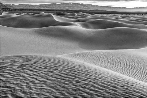 Mesquite Dunes-Death Valley National Park-California White Modern Wood Framed Art Print with Double Matting by Ford, John