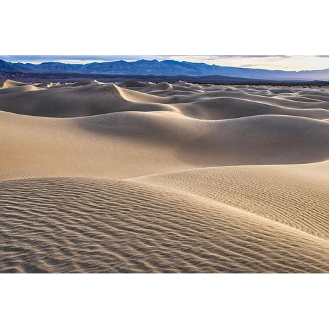 Mesquite Dunes-Death Valley National Park-California Black Modern Wood Framed Art Print by Ford, John