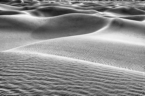 Mesquite Dunes-Death Valley National Park-California Black Ornate Wood Framed Art Print with Double Matting by Ford, John