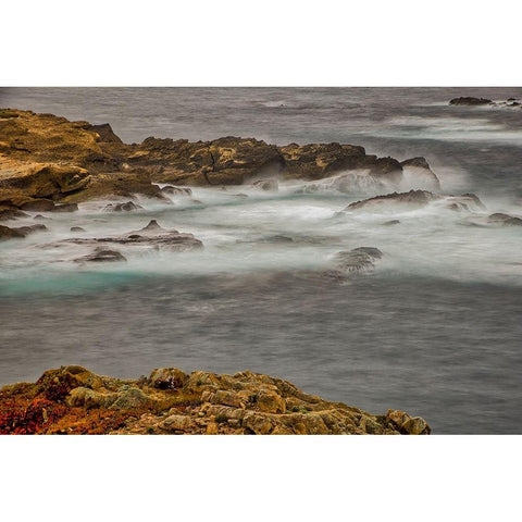 Point Lobos-Carmel-California Black Modern Wood Framed Art Print with Double Matting by Ford, John