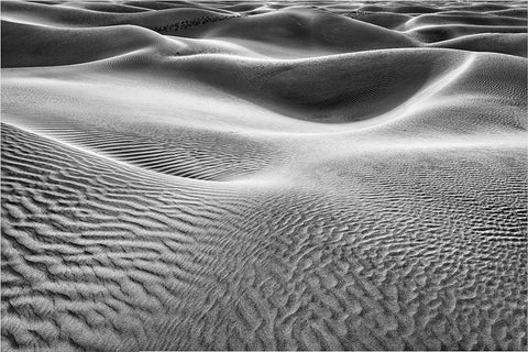 Mesquite Dunes-Death Valley National Park-California White Modern Wood Framed Art Print with Double Matting by Ford, John