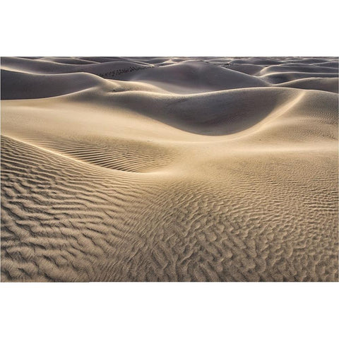 Mesquite Dunes-Death Valley National Park-California Black Modern Wood Framed Art Print with Double Matting by Ford, John