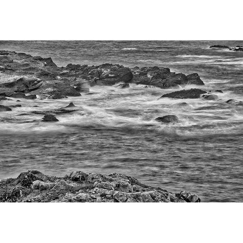 Point Lobos-Carmel-California Black Modern Wood Framed Art Print with Double Matting by Ford, John