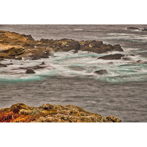 Point Lobos-Carmel-California Black Modern Wood Framed Art Print by Ford, John