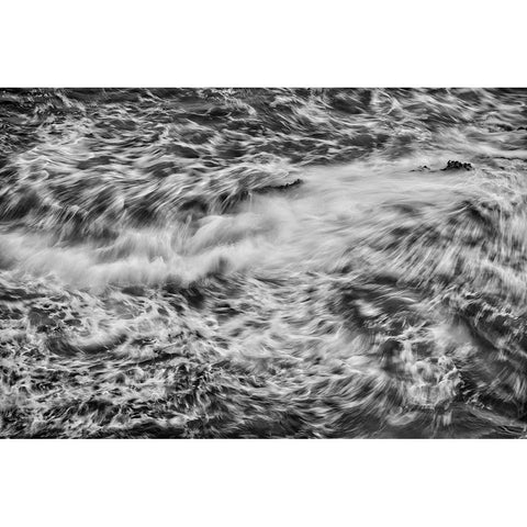 Point Lobos-Carmel-California Black Modern Wood Framed Art Print by Ford, John