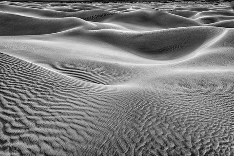 Mesquite Dunes-Death Valley National Park-California White Modern Wood Framed Art Print with Double Matting by Ford, John