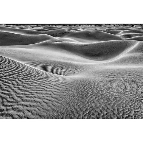 Mesquite Dunes-Death Valley National Park-California Black Modern Wood Framed Art Print by Ford, John