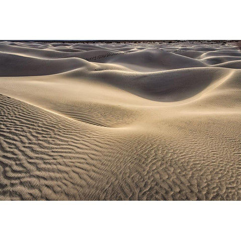 Mesquite Dunes-Death Valley National Park-California Gold Ornate Wood Framed Art Print with Double Matting by Ford, John