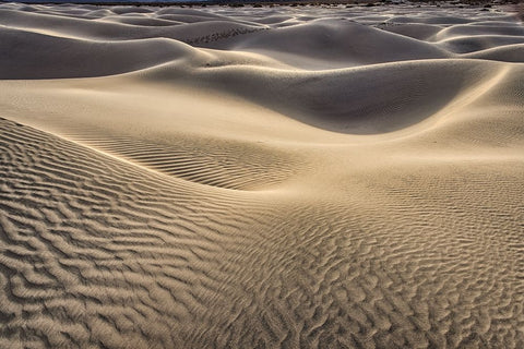 Mesquite Dunes-Death Valley National Park-California White Modern Wood Framed Art Print with Double Matting by Ford, John