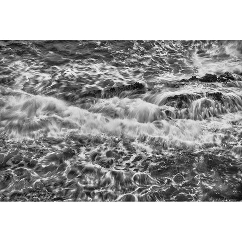 Point Lobos-Carmel-California Black Modern Wood Framed Art Print by Ford, John