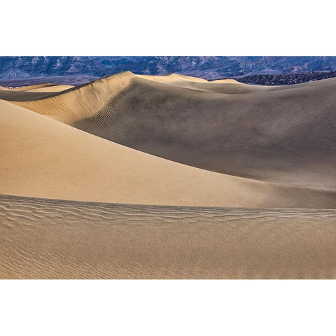Mesquite Dunes-Death Valley National Park-California White Modern Wood Framed Art Print by Ford, John