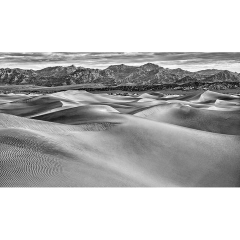 Mesquite Dunes-Death Valley National Park-California Black Modern Wood Framed Art Print by Ford, John