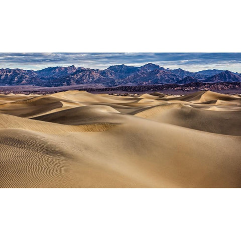 Mesquite Dunes-Death Valley National Park-California Gold Ornate Wood Framed Art Print with Double Matting by Ford, John