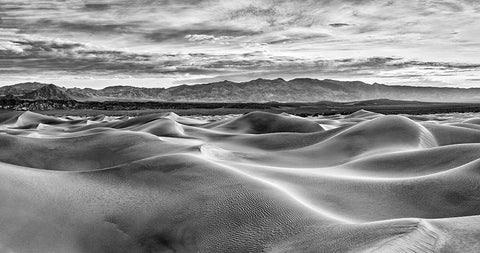 Mesquite Dunes-Death Valley National Park-California White Modern Wood Framed Art Print with Double Matting by Ford, John
