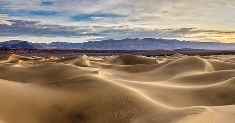 Mesquite Dunes-Death Valley National Park-California White Modern Wood Framed Art Print with Double Matting by Ford, John