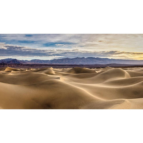 Mesquite Dunes-Death Valley National Park-California Black Modern Wood Framed Art Print by Ford, John