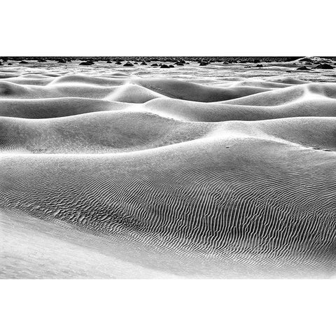Mesquite Dunes-Death Valley National Park-California Gold Ornate Wood Framed Art Print with Double Matting by Ford, John