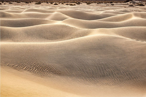 Mesquite Dunes-Death Valley National Park-California White Modern Wood Framed Art Print with Double Matting by Ford, John