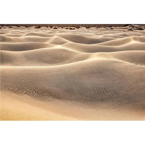 Mesquite Dunes-Death Valley National Park-California Black Modern Wood Framed Art Print by Ford, John