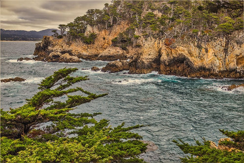 Point Lobos-Carmel-California White Modern Wood Framed Art Print with Double Matting by Ford, John
