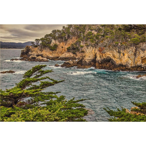 Point Lobos-Carmel-California Black Modern Wood Framed Art Print by Ford, John