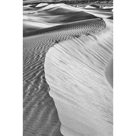 Mesquite Dunes-Death Valley National Park-California Black Modern Wood Framed Art Print with Double Matting by Ford, John
