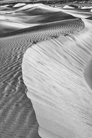 Mesquite Dunes-Death Valley National Park-California White Modern Wood Framed Art Print with Double Matting by Ford, John
