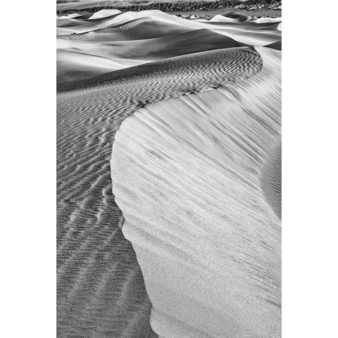 Mesquite Dunes-Death Valley National Park-California Black Modern Wood Framed Art Print with Double Matting by Ford, John