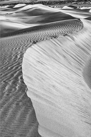 Mesquite Dunes-Death Valley National Park-California White Modern Wood Framed Art Print with Double Matting by Ford, John
