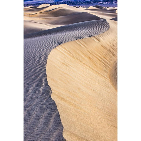 Mesquite Dunes-Death Valley National Park-California Gold Ornate Wood Framed Art Print with Double Matting by Ford, John