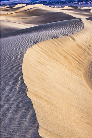 Mesquite Dunes-Death Valley National Park-California White Modern Wood Framed Art Print with Double Matting by Ford, John