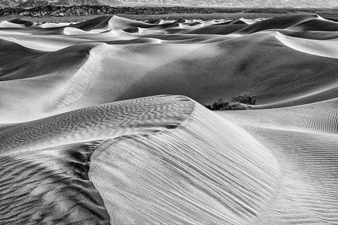 Mesquite Dunes-Death Valley National Park-California Black Ornate Wood Framed Art Print with Double Matting by Ford, John