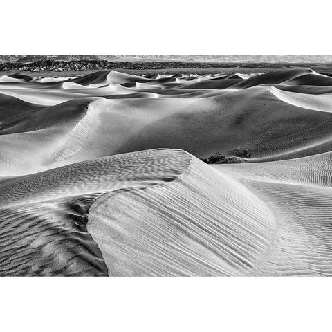Mesquite Dunes-Death Valley National Park-California Gold Ornate Wood Framed Art Print with Double Matting by Ford, John
