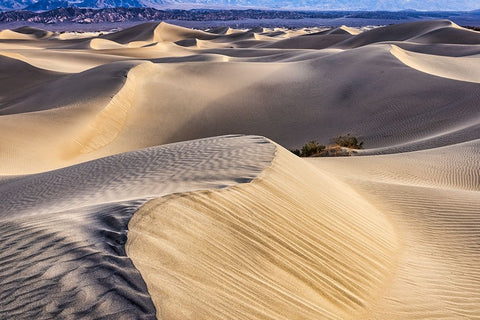 Mesquite Dunes-Death Valley National Park-California White Modern Wood Framed Art Print with Double Matting by Ford, John