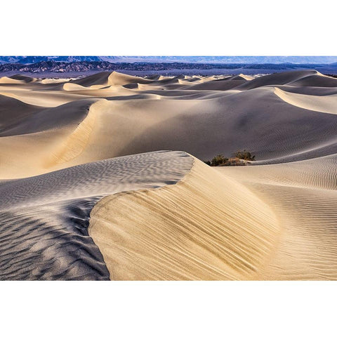 Mesquite Dunes-Death Valley National Park-California Black Modern Wood Framed Art Print by Ford, John