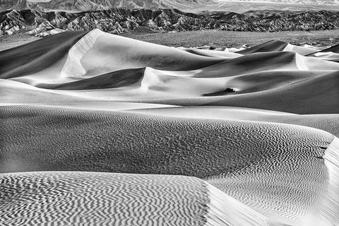 Mesquite Dunes-Death Valley National Park-California Black Ornate Wood Framed Art Print with Double Matting by Ford, John