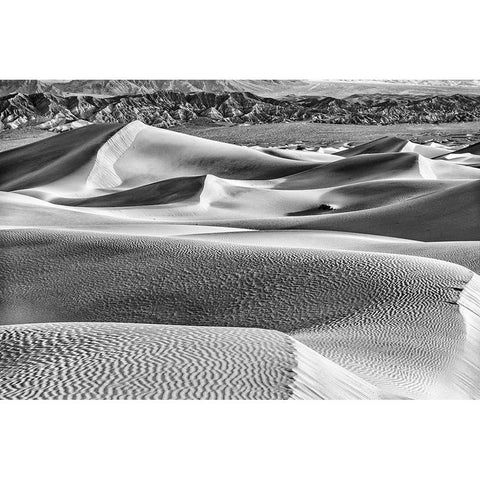 Mesquite Dunes-Death Valley National Park-California Black Modern Wood Framed Art Print by Ford, John