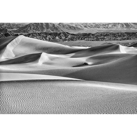 Mesquite Dunes-Death Valley National Park-California Black Modern Wood Framed Art Print with Double Matting by Ford, John