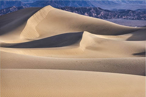 Mesquite Dunes-Death Valley National Park-California Black Ornate Wood Framed Art Print with Double Matting by Ford, John