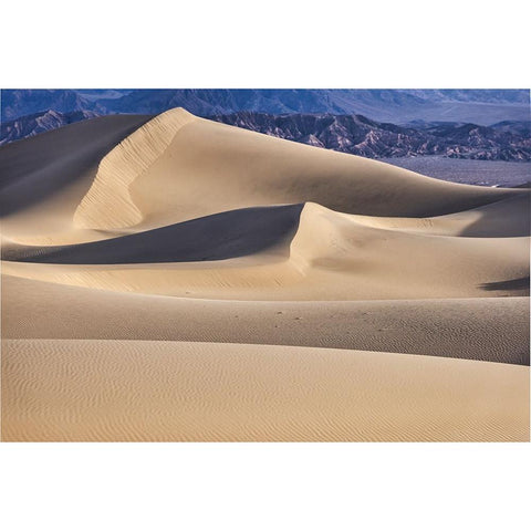 Mesquite Dunes-Death Valley National Park-California Black Modern Wood Framed Art Print by Ford, John