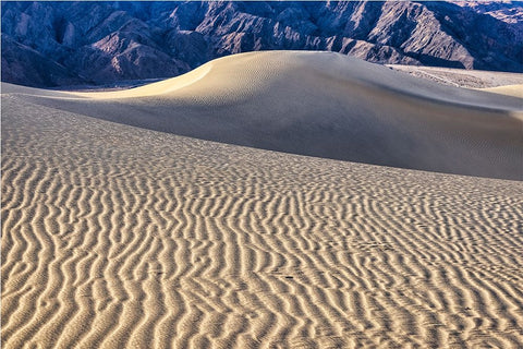 Mesquite Dunes-Death Valley National Park-California White Modern Wood Framed Art Print with Double Matting by Ford, John